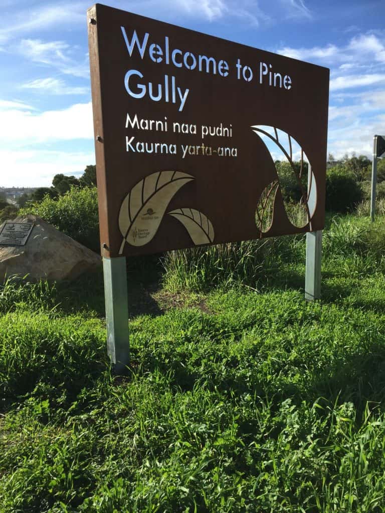 Pine-Gully-2_6951994be4cefef86ac78020d31182d4