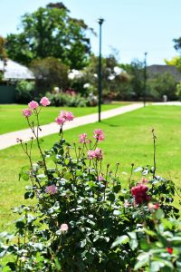 Jack Chaston Park