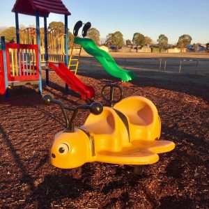 Peter Lowe Reserve Playground