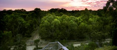 Craigie-Bushland-400×170