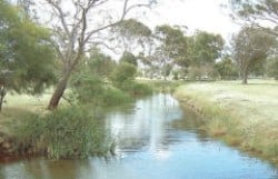 Gnarojin-Park-Walk-Trail