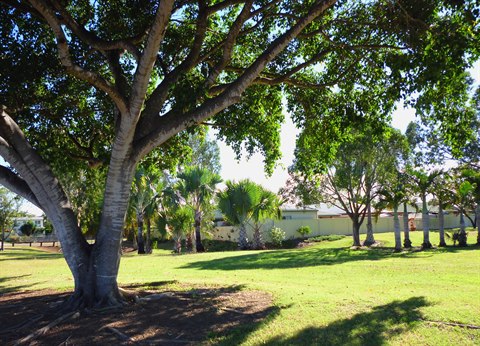doblo-park