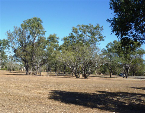ergon-park