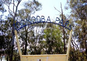 Toonooba Park