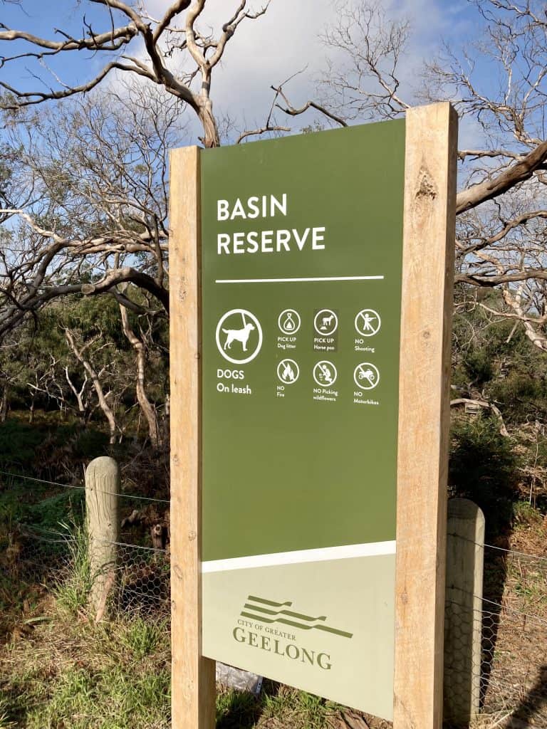 Basin Reserve