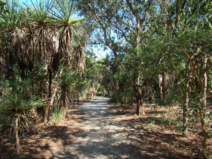 mcminns-lagoon-recreation-reserve-image-7
