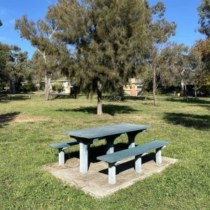 Inner South Playgrounds