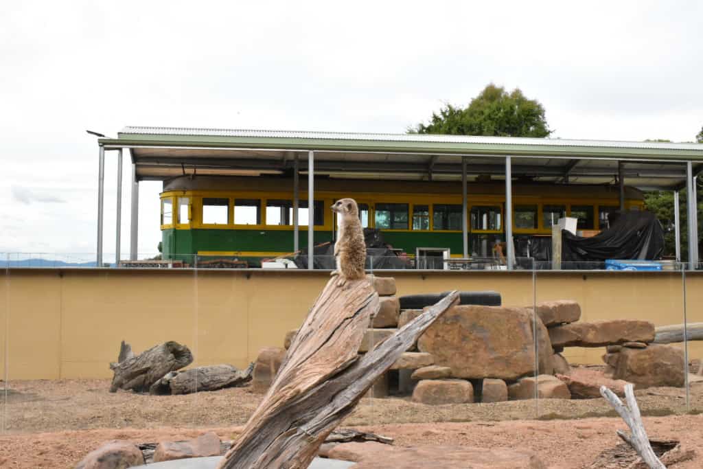 Mansfield Zoo