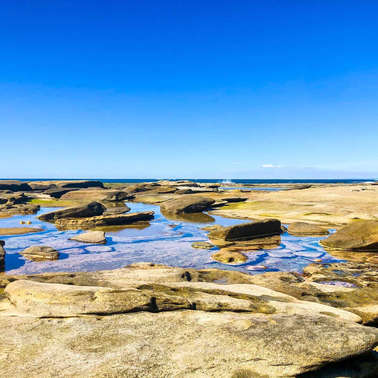 Rock Pools on the Sunshine Coast