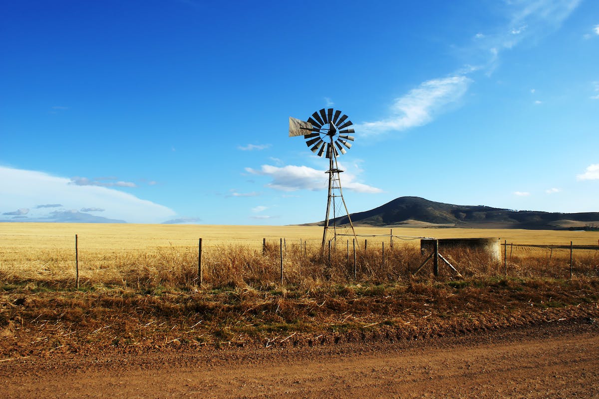 Redefining Parenting: Why a Trip to the Farm May Be the Healthiest Gift for Your Child’s Lungs